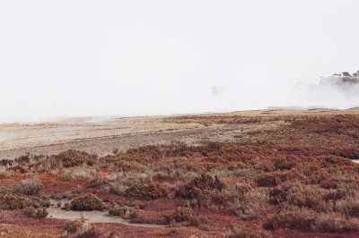 Oracle-Fox-Journal-Wildfire-Elyse-Knowles-photographed-by-Ren-Pidgeon-2