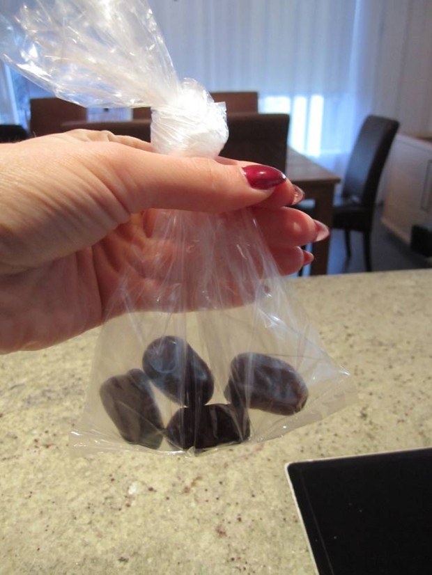 1579915_10152555721522468_434045463_n